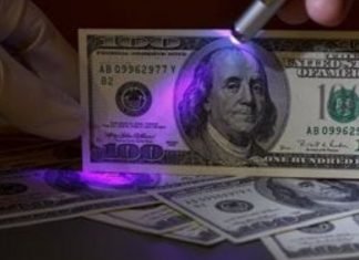 CICPC alerta sobre la circulación de dólares falsos en el país