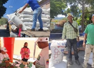 Despachan fertilizantes a productores agrícolas de Buena Vista y Monte Carmelo en Lara
