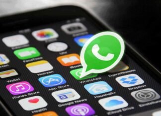 Aprende a desactivar la descarga de archivos multimedia de WhatsApp