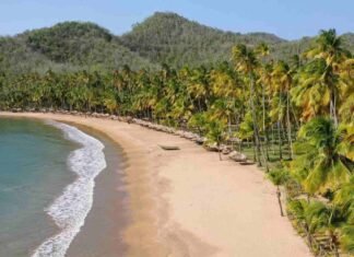 Río Caribe, entre la costa y lugares emblemáticos