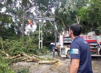 Inspeccionan trabajos en pozos 7 y 9 del Sistema Macuto tras afectación por caída de árboles