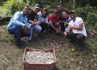 Realizaron jornada de reforestación en Parque Nacional Yacambú