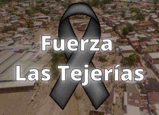 Fuerza Las Tejerías