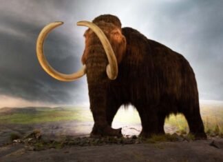 El plan de la CIA para traer a la vida animales extintos