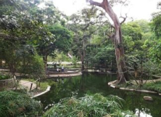 Parque Bararida trabaja por la reproducción de especies en peligro