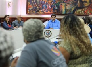 Ejecutivo desplegará consulta para renovar leyes y políticas públicas