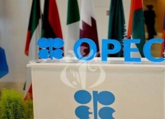 Venezuela evaluará estrategias a largo plazo para desarrollo del mercado energético