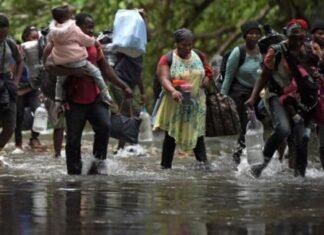 36 migrantes murieron al intentar cruzar la selva de Darién en 2022