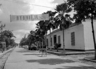 Los datos del naciente Cabudare