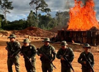 FANB desmantela campamentos de minería ilegal en Venezuela
