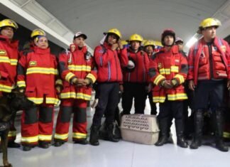 Regresan 25 bomberos que hicieron labores de rescate y ayuda en Siria