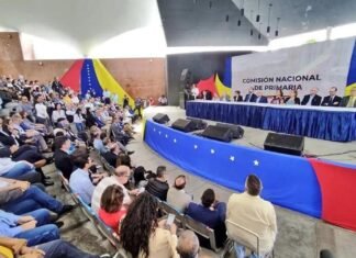 Consideran que CNE no vulnerará autonomía en primarias de la oposición