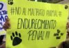 Desde Lara piden endurecimiento penal contra el maltrato animal