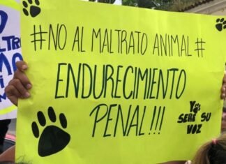Desde Lara piden endurecimiento penal contra el maltrato animal