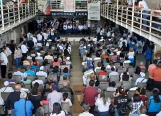 AD Lara respaldará al candidato ganador en las primarias