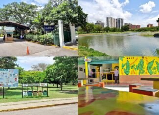 Rehabilitan espacios en Parque del Este de Barquisimeto