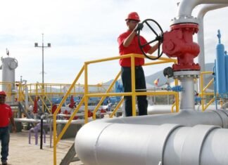 Revisan estrategias para proteger interconexión de gasoducto en Venezuela