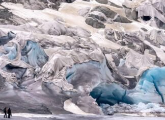 Aprueban en referéndum nueva Ley del Clima en Suiza