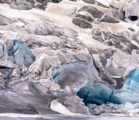 Aprueban en referéndum nueva Ley del Clima en Suiza