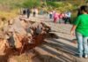 Derrumbe en falla de borde vía Los Humocaros impide el paso de productos agrícolas en el municipio Morán