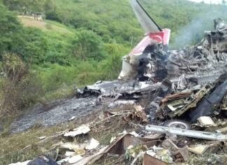 Gobierno informa intervención de ave en motor ocasionó siniestro de avión militar
