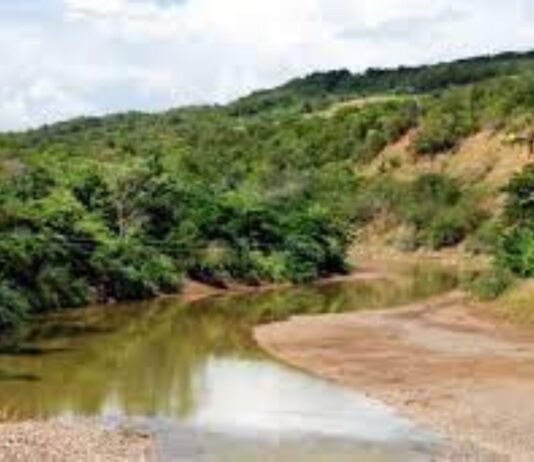 Despliegan jornadas de fiscalización a productores para preservar cauces de ríos en Lara