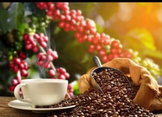 Reclaman precios justos del café productores de Trujillo, Lara y Portuguesa