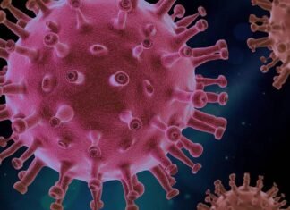 Advertencia sobre nueva variante covid: “no es un llamado de alarma sino de vigilancia epidemiológica”