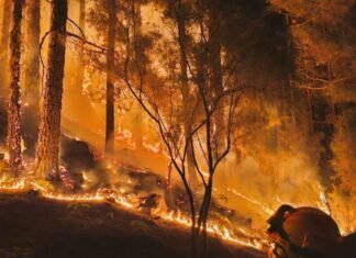 Habilitan albergues a más de 3 Mil desplazados por voraz incendio forestal en Tenerife