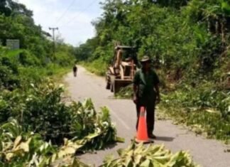 Efectúan desmalezamiento y limpieza en vía El Gamelotal del municipio Simón Planas