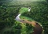 El BID y el Banco Mundial firman acuerdo para proteger el Amazonas de la deforestación