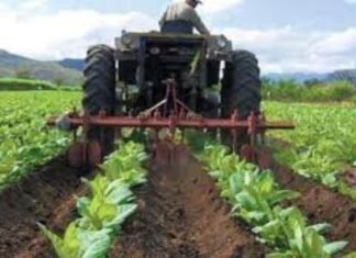 Gobierno creará gran zona especial para la producción de alimentos