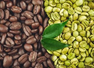 Acuerdan precio para venta del café verde caficultores de Lara y Portuguesa