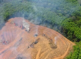 ONU apoya reconocimiento del «ecocidio» como crimen internacional