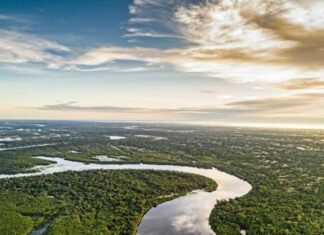 Disminuye superficie de agua en la última década en países amazónicos
