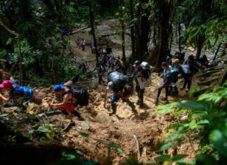 La nueva directora de la OIM quiere rutas más seguras para los migrantes en Latinoamérica