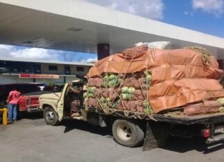Fedeagro alertó de una nueva crisis ante el déficit de combustible