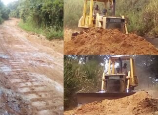 Rehabilitan 16,5 kilómetros de vía agrícola en el municipio Crespo