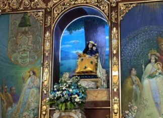 Bajada de la Divina Pastora se celebrará en medio de la feligresía