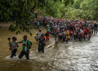 OIM y ACNUR piden cooperación internacional para resolver emergencia humanitaria en Darién