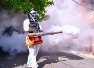 Ministerio de Salud exhorta a eliminar criaderos de zancudos y mantener lucha contra el dengue
