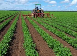 Fedeagro registra crecimiento en 2023 pese a dificultades