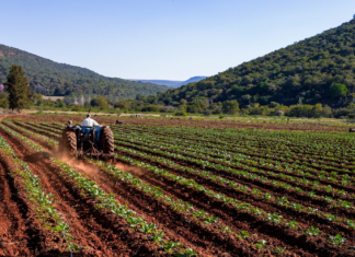 Fedeagro indica sector agrícola requiere Mil 500 Millones de dólares anuales para su recuperación