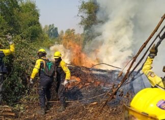 Gobierno envía a Fuerza de Tarea Humanitario Simón Bolívar a prestar apoyo en Chile