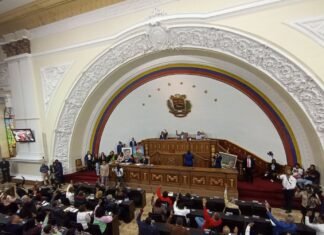 AN aprueba proyecto de ley para trato digno de animales de compañía