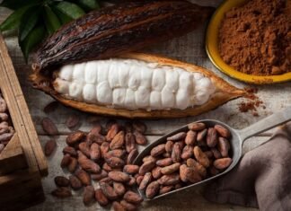 Productores de cacao: hasta 50% ha disminuido la producción