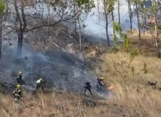 Al menos 30 mil afectados por quema y tala de árboles en cuencas de Lara