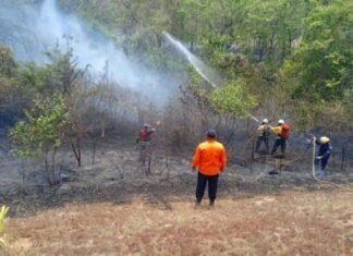 Despliegan funcionarios de PC para combatir incendios forestales en Lara