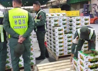 Exportan 6 toneladas de frutas y hortalizas desde Lara