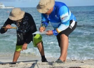 Avanzan en la investigación ecológica y ambiental en Isla de Aves